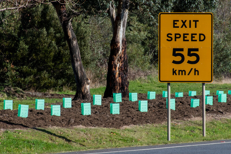 A yellow sign next to newly planted trees says Exit  Speed 55 km/h